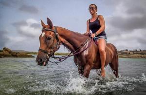 Pictures Horse Ride&Swim