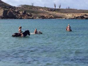 10501475_741347595924260_552419272_n