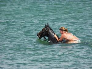 10592696_621639757948585_2212341695283356265_n