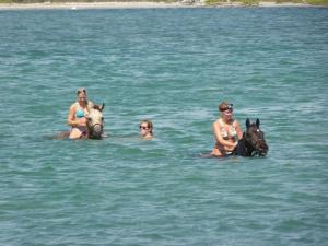 10616530_621639727948588_5631324202080952430_n