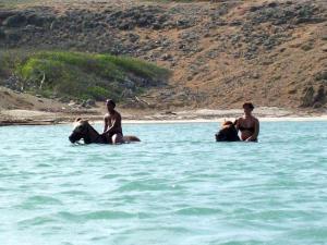 935330_283261518478129_118330529_n