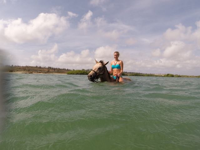 Horse Ride & Swim&nbsp;Bonaire