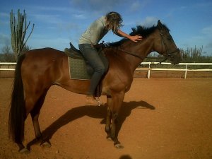 Rancho Washikemba horse ranch&nbsp;Bonaire