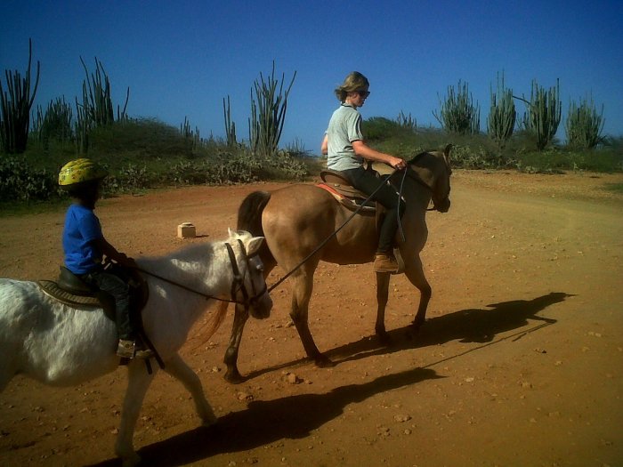 IMG00775-20141001-1551