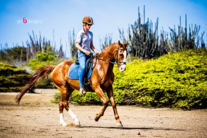 Horseback riding lessons