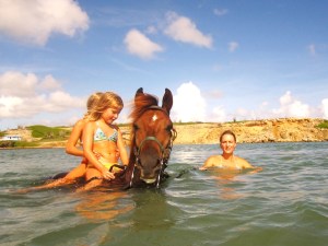 Swimming with horses on&nbsp;Bonaire