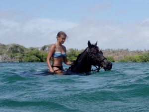 Horseback riding tours&nbsp;Bonaire