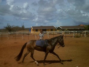 rancho washikemba horse ranch bonaire Marybell