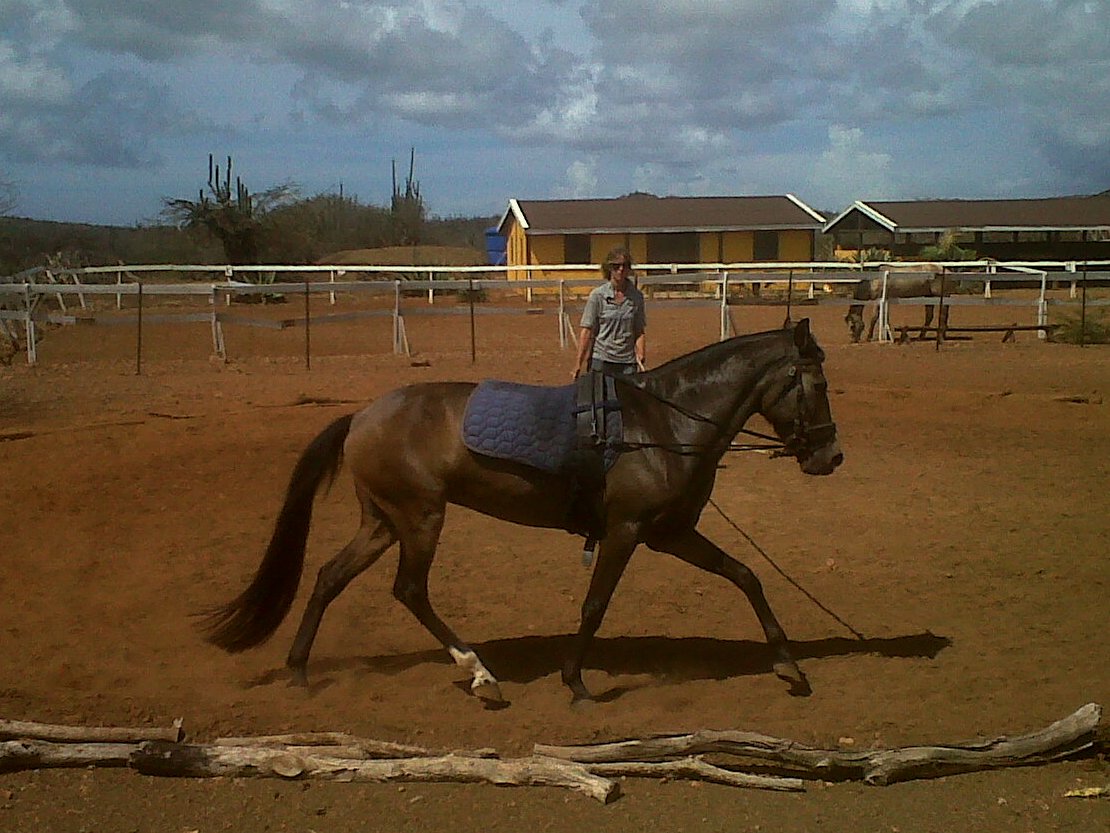 Lunge training Marybell