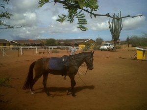 rancho washikemba horse ranch bonaire Marybell