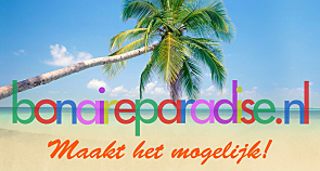 banner-bonaireparadise_0_0_1