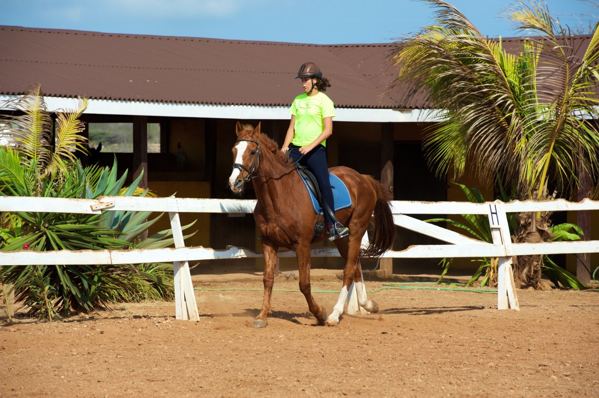 Horseback riding lessons @ Rancho&nbsp;Washikemba