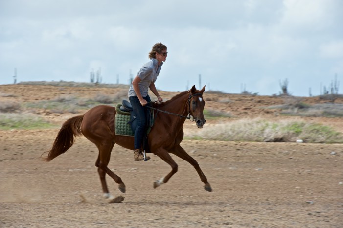 Rancho Washikemba Bonaire