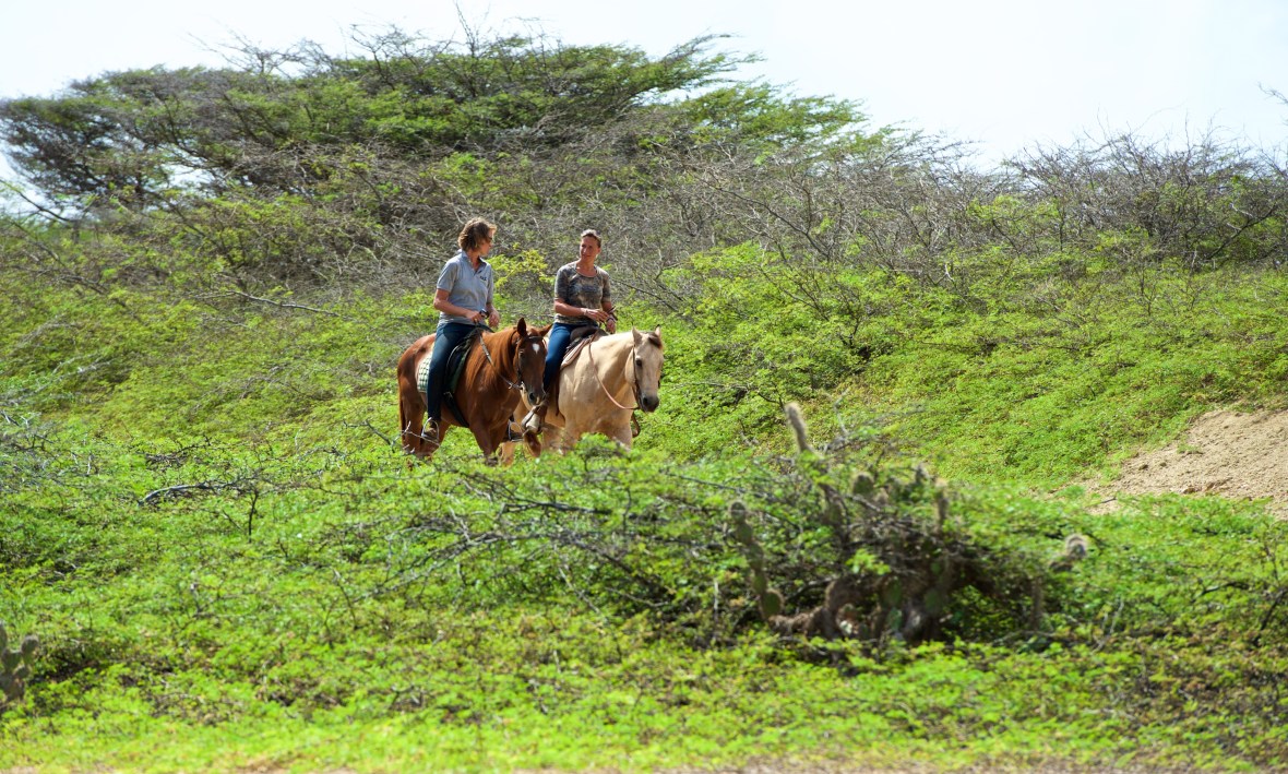 Wow what a scenic landscape, we’re so&nbsp;blessed!