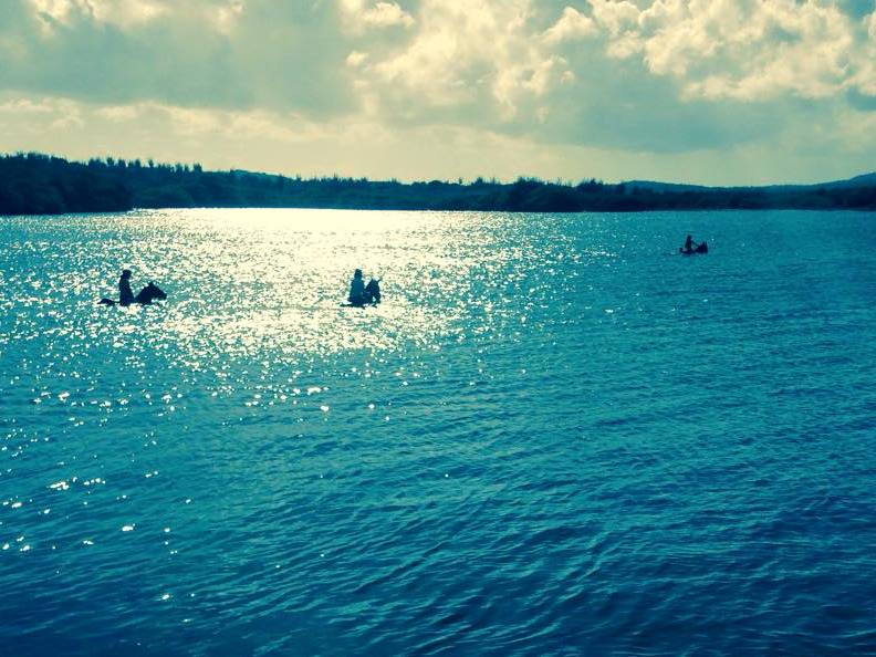 Horse Ride&Swim at Rancho Washikemba&nbsp;Bonaire