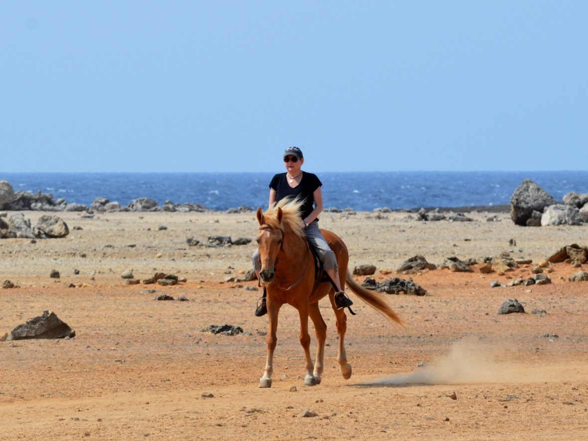 Last week tours and&nbsp;pictures!