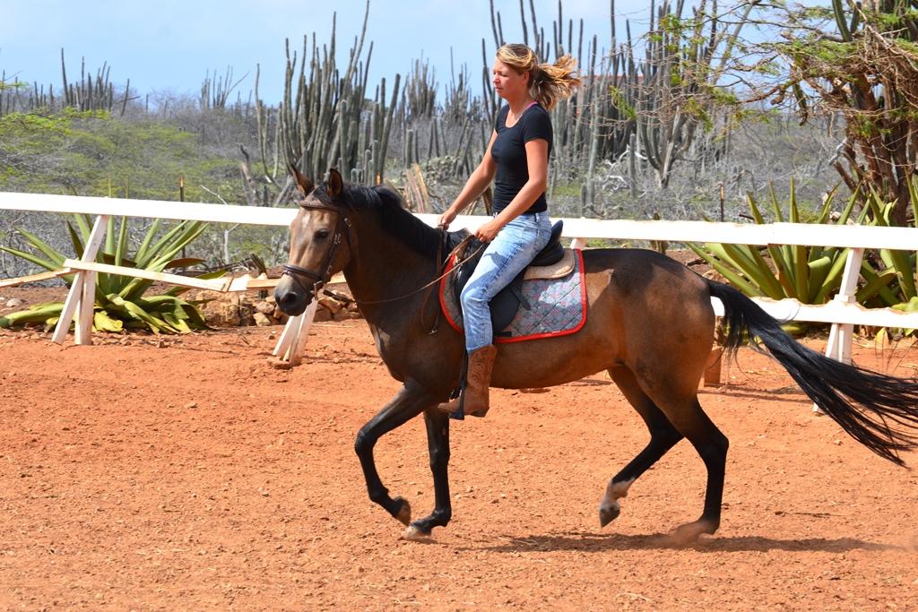 Paso Fino riding!