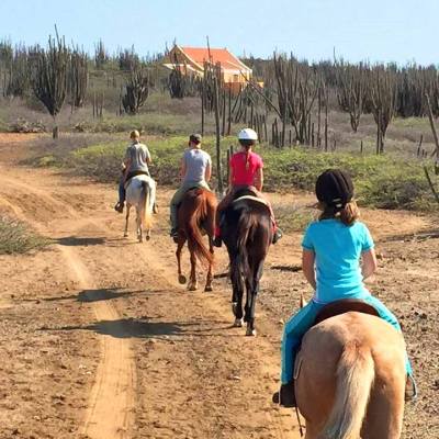 Horseback riding Bonaire