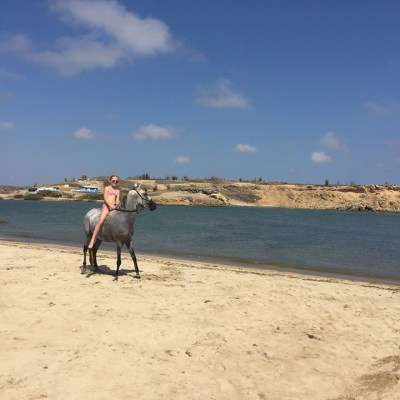 Horseback riding Bonaire