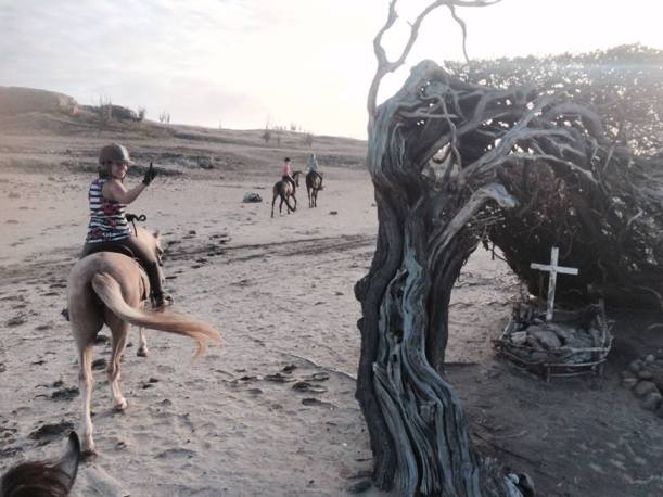 12435776_1154466784577748_1655088195_n