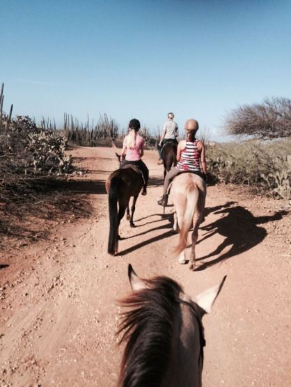 12436039_1154461751244918_1244262055_n