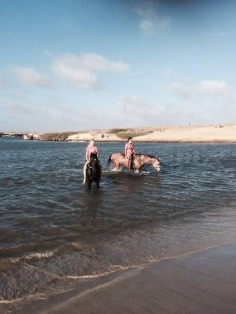 12459806_1154461704578256_1609860845_n