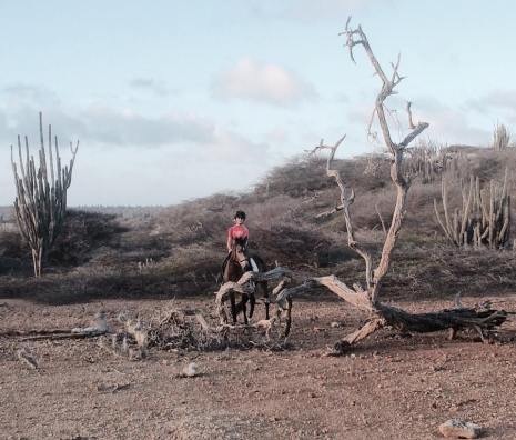 12467881_1154465781244515_1929593979_n