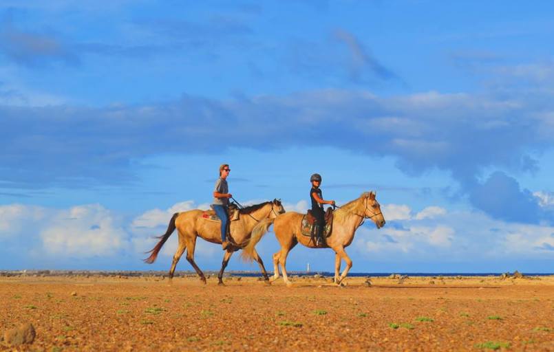 12421466_582827158549177_1888554691_n