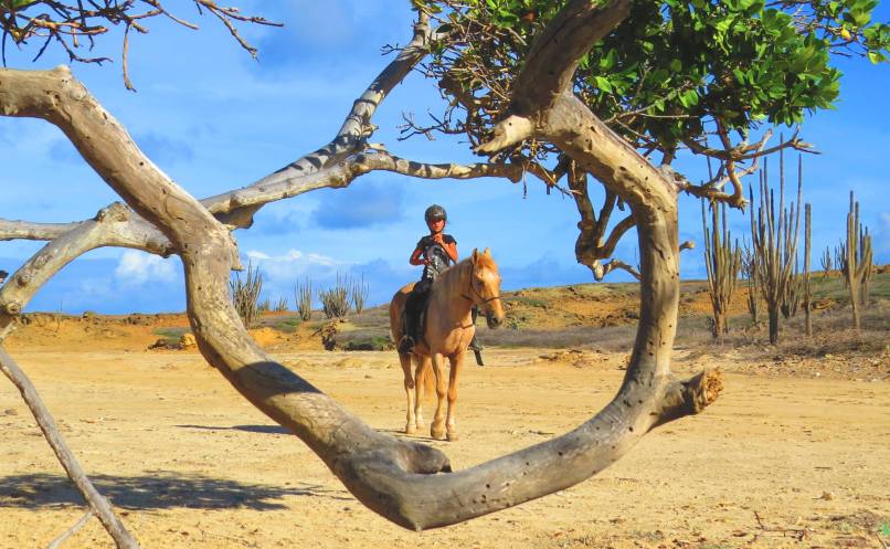 12516676_582835011881725_1676573341_o