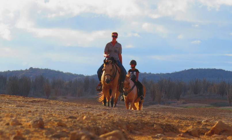 12557214_10153423330072449_252938093_o