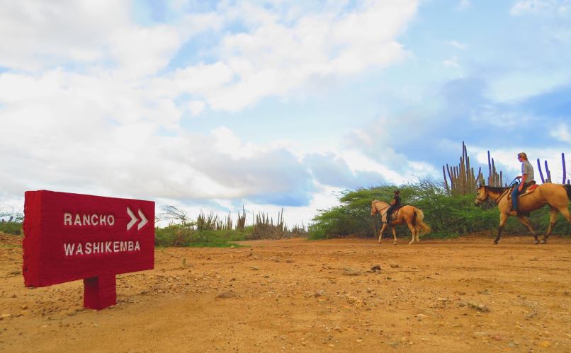 12637235_582833245215235_721790475_o