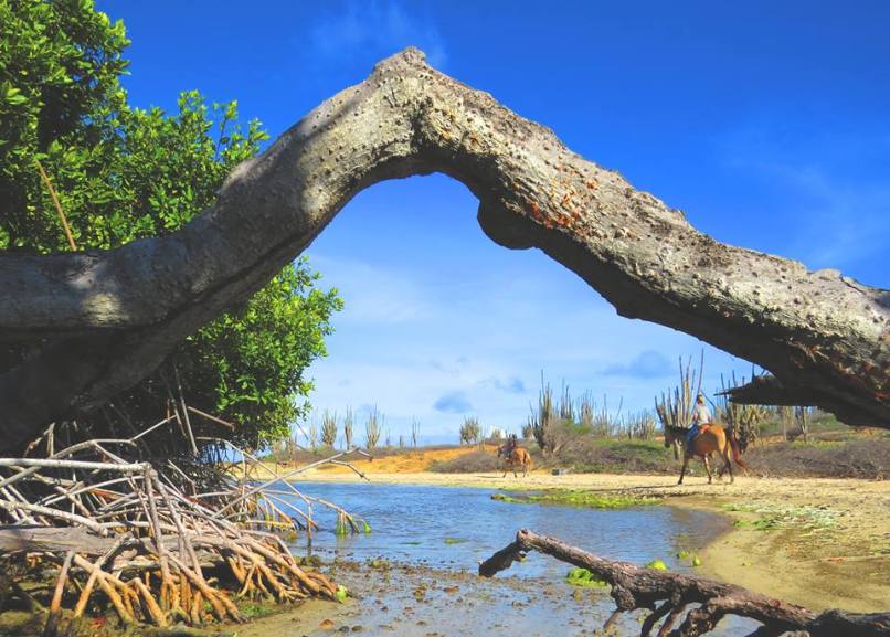 12650412_582834288548464_1303146062_n