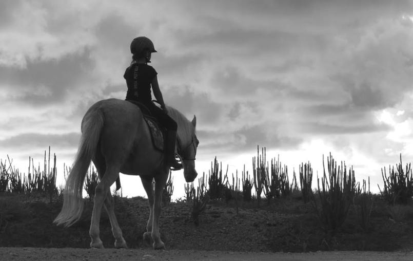 12674640_582832725215287_1204016880_n