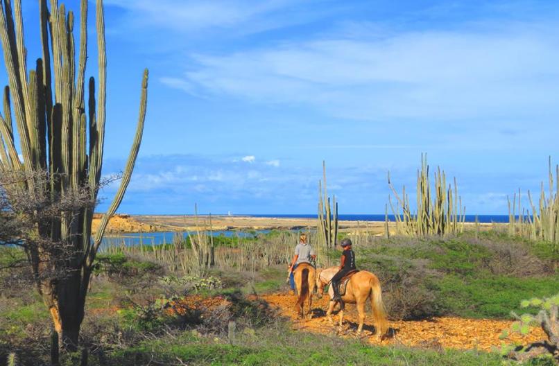 12674662_582834275215132_922013463_n