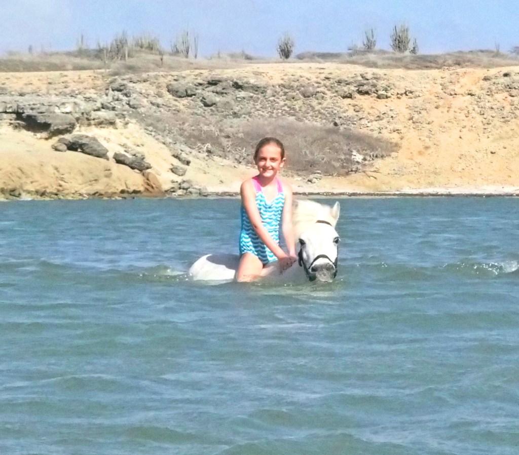 Rancho washikemba horse ranch bonaire