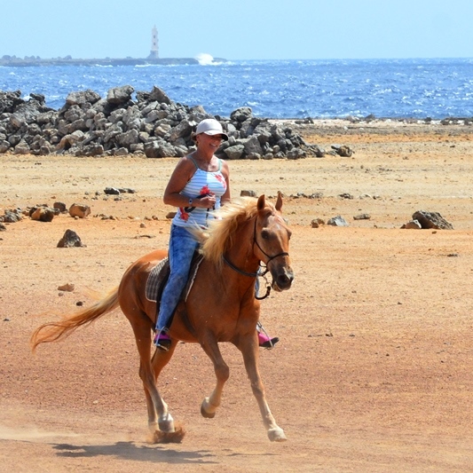 Private ride&swim tour!