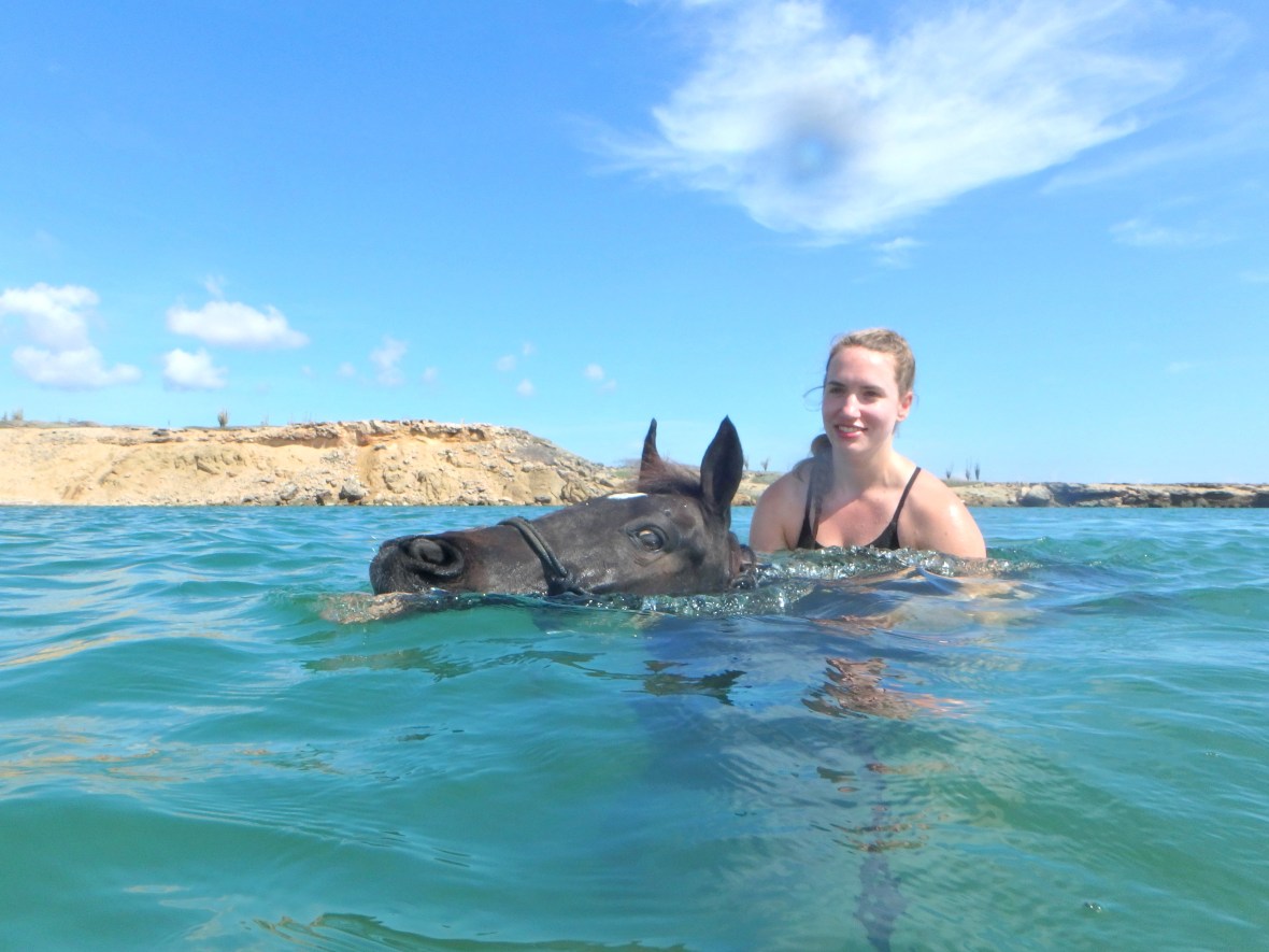 Busy with riding&nbsp;tours!