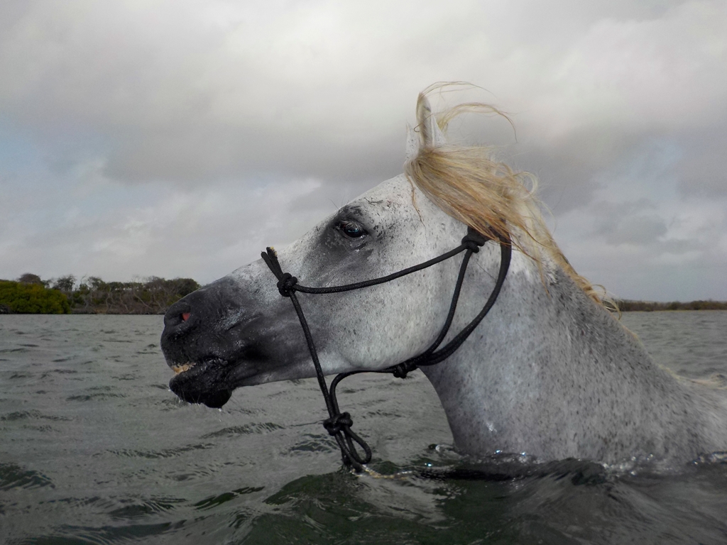 Fantastico first time&nbsp;swimming!