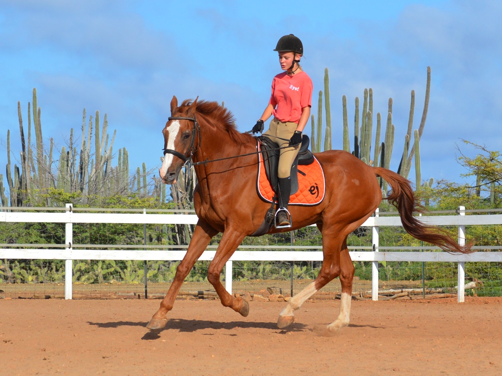 So many nice new&nbsp;pictures!