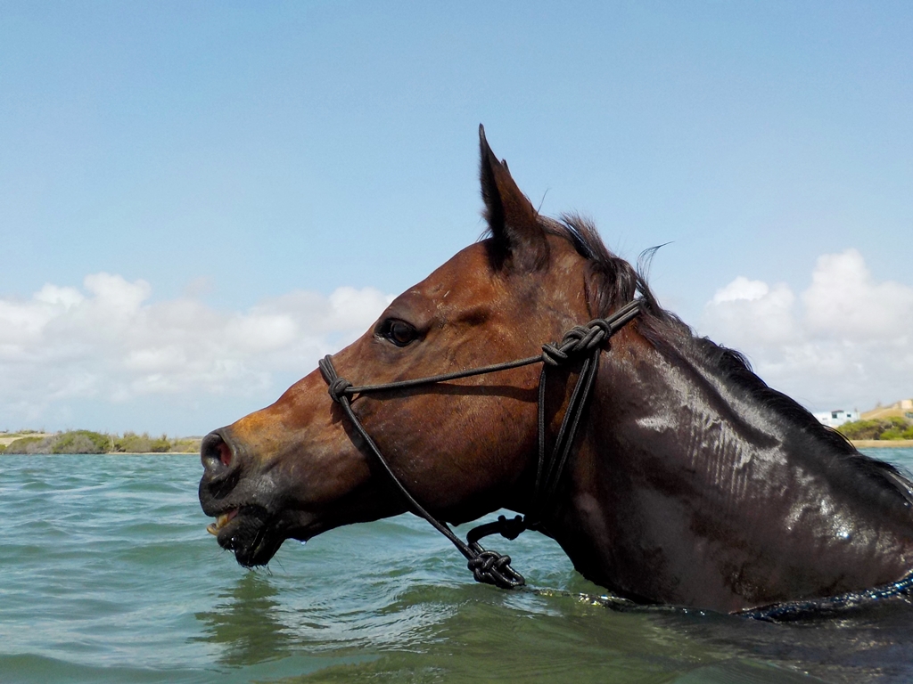 Full day of&nbsp;tours!