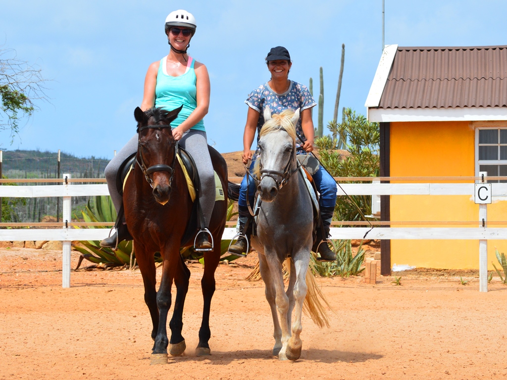 Horseback riding lessons!