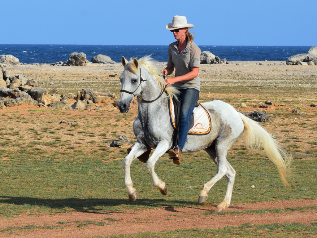 La Reina del&nbsp;Arco