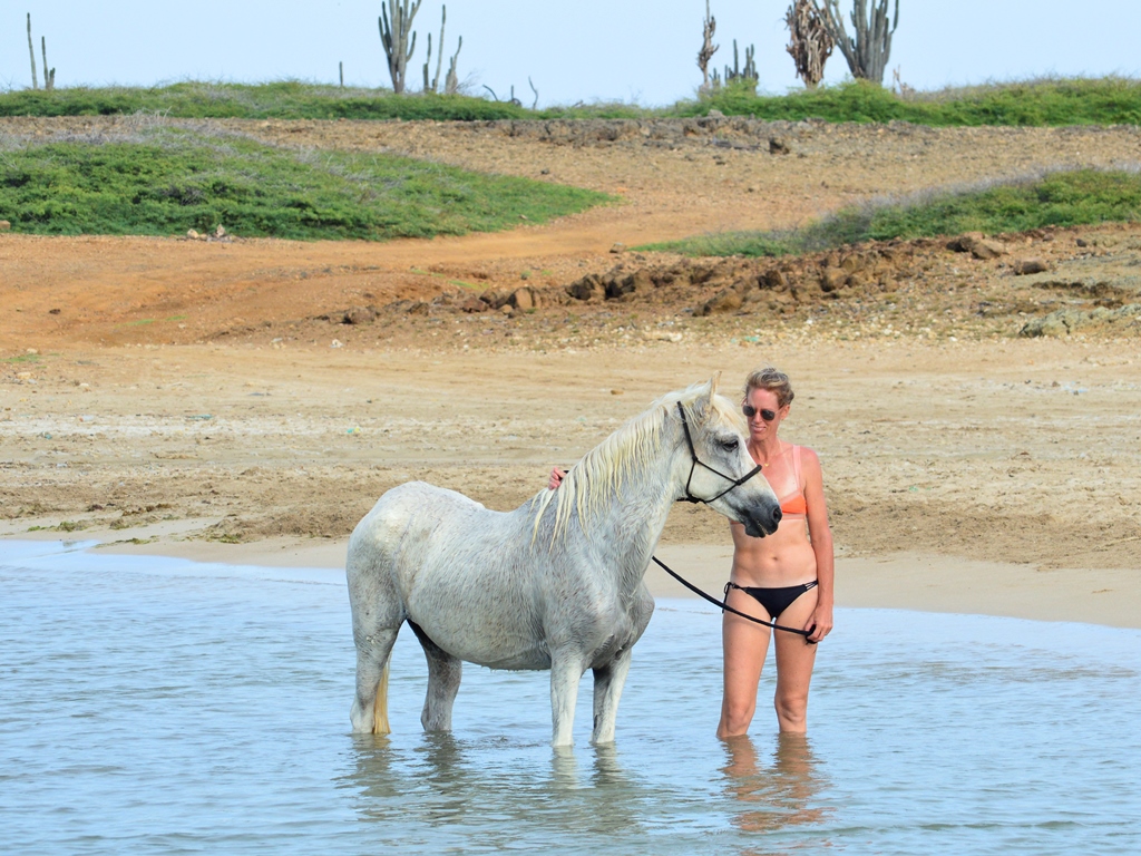 Swimming with La&nbsp;Reina