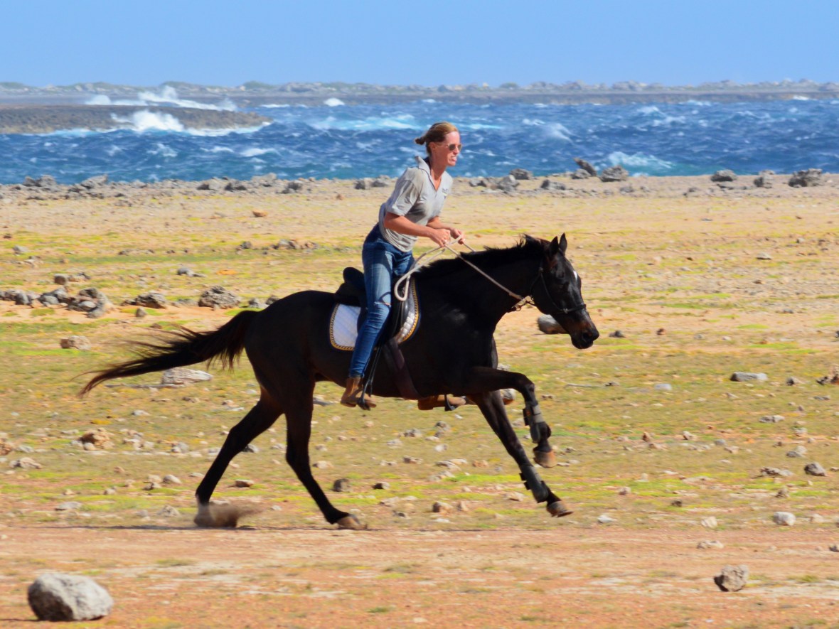 Private tour with&nbsp;photoshoot!