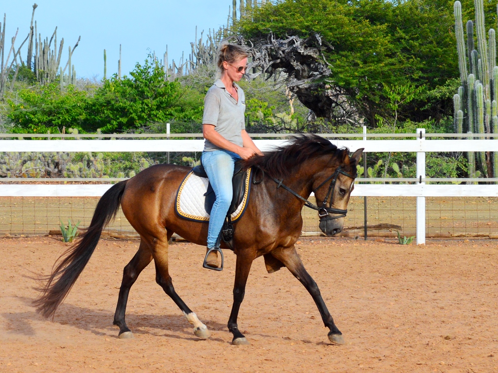 Dressage training Marybell