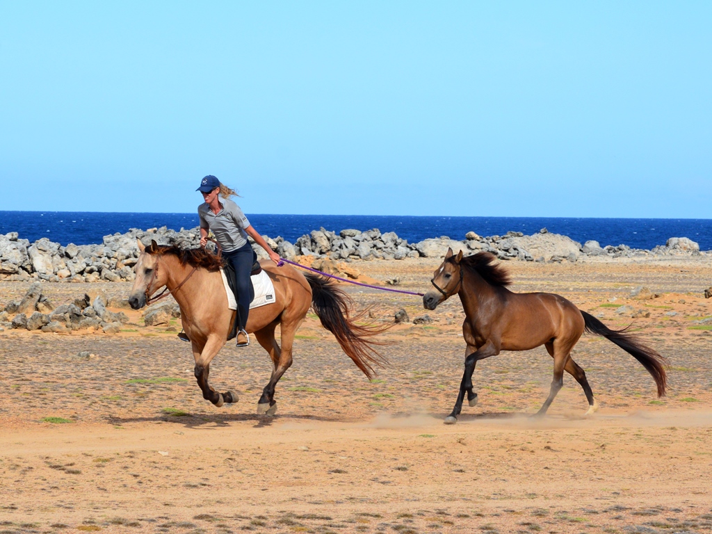 Riding Poco &&nbsp;Marybell!