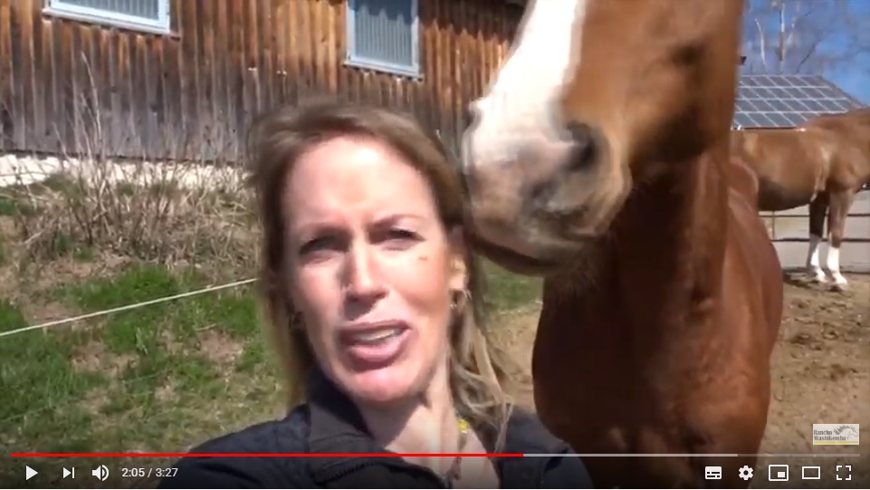 How kind: former owner Bregje Zijlstra made a vlog for&nbsp;us!